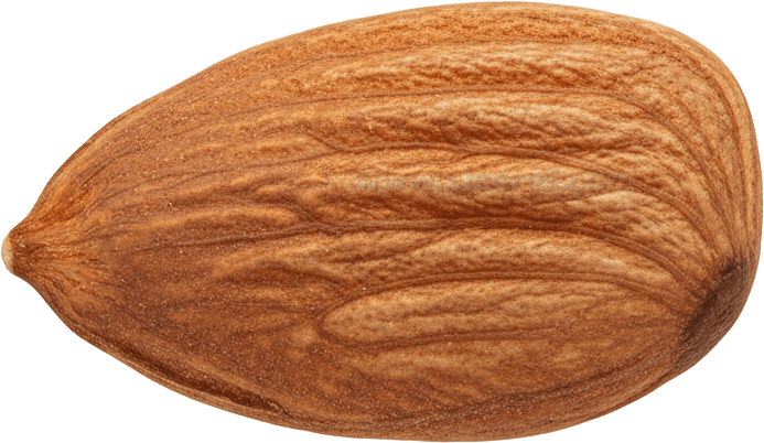 Almond