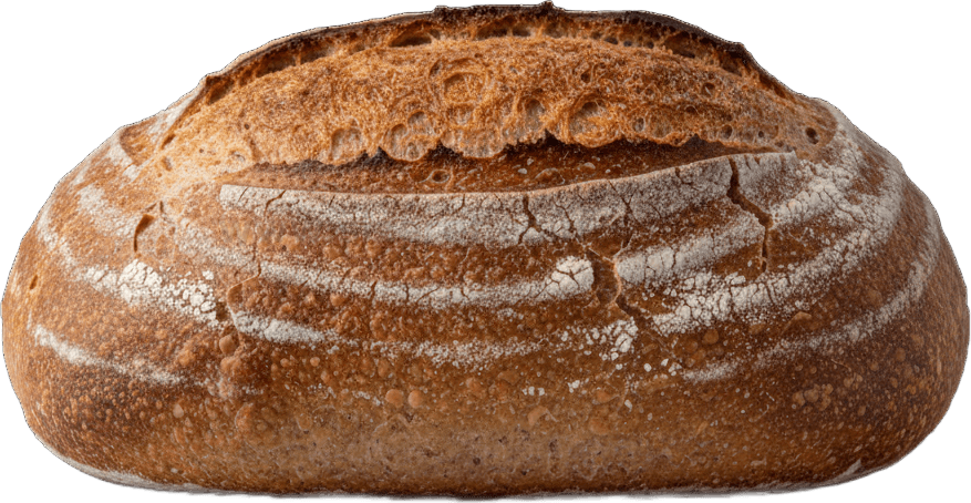 Bread actual size