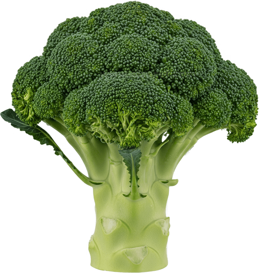 Broccoli actual size