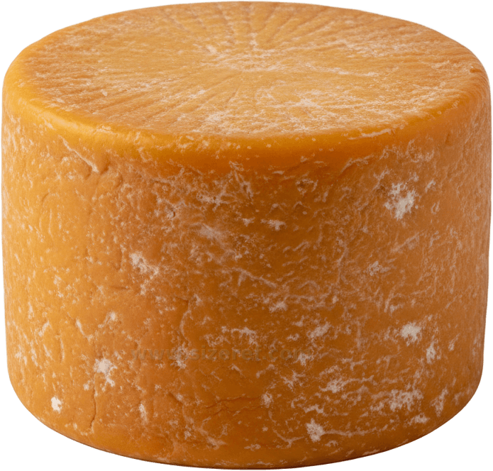 Cheese actual size