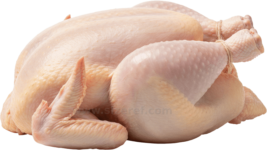 Chicken actual size