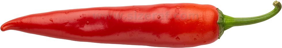 Chili Pepper actual size