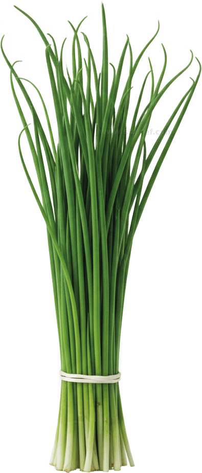 Chives actual size
