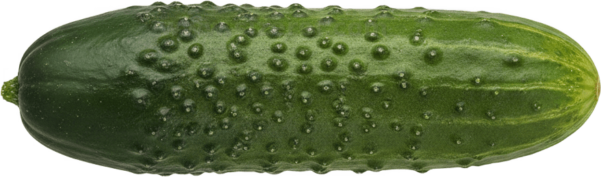 Cucumber actual size