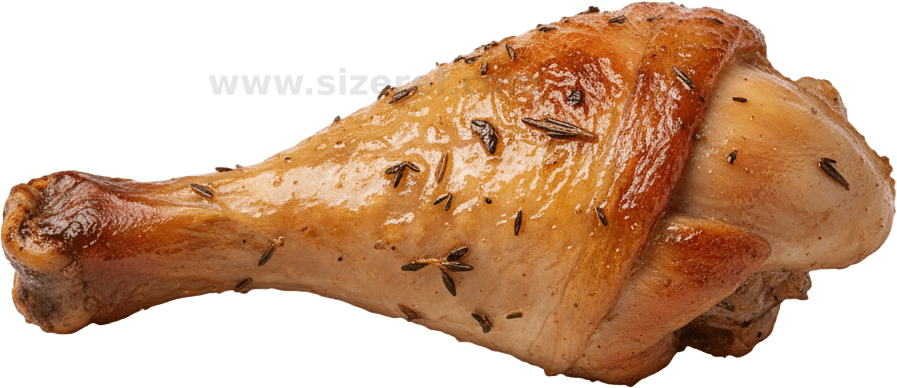 Drumstick actual size