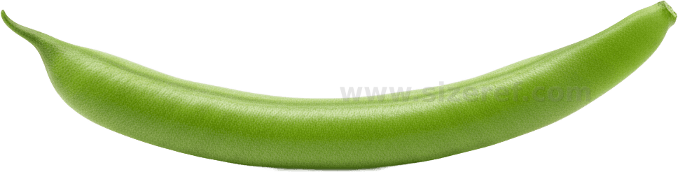 Green Bean actual size