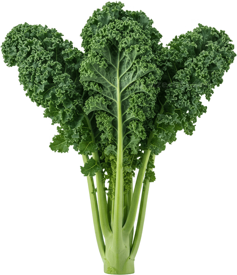Kale actual size