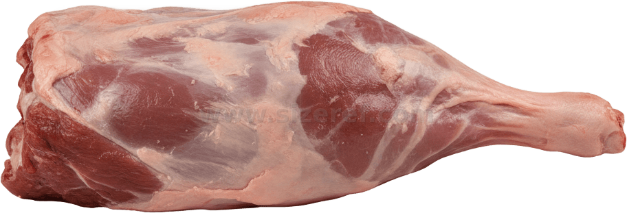 Lamb actual size