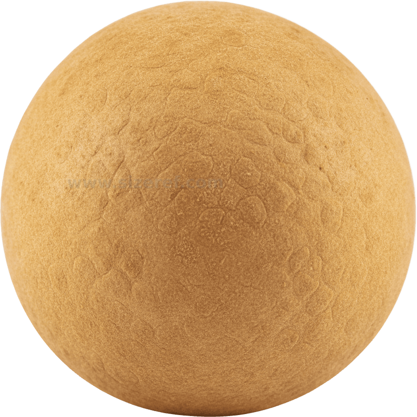 Longan actual size