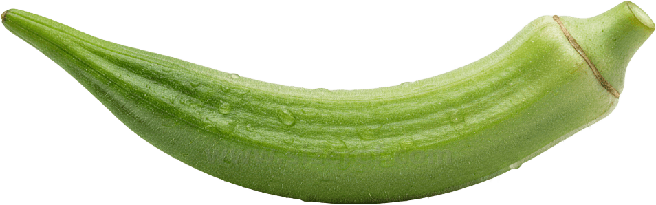 Okra actual size