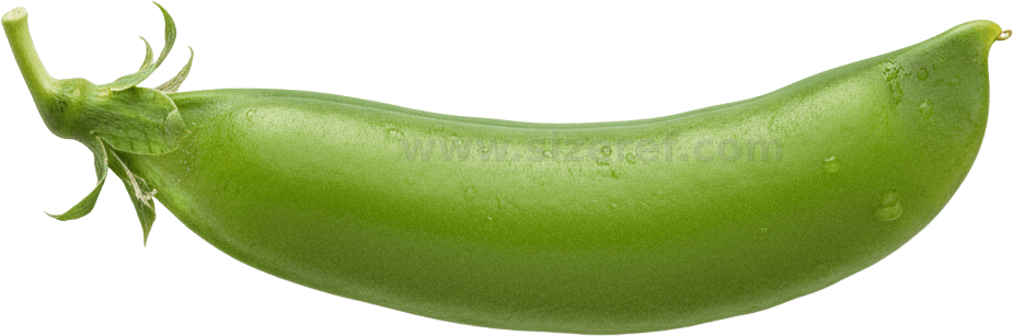 Pea actual size
