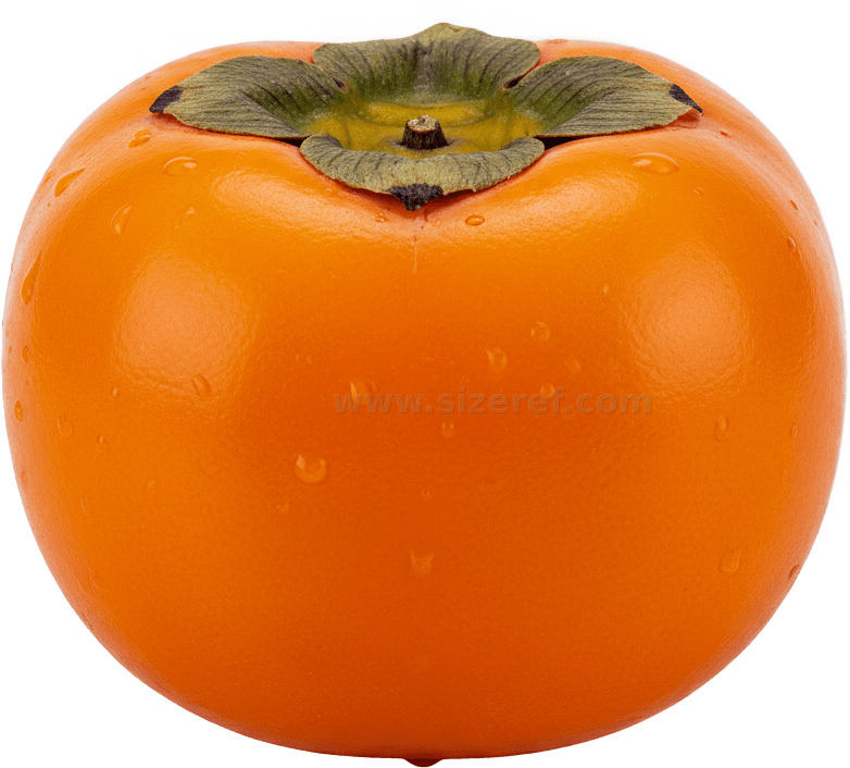 Persimmon actual size