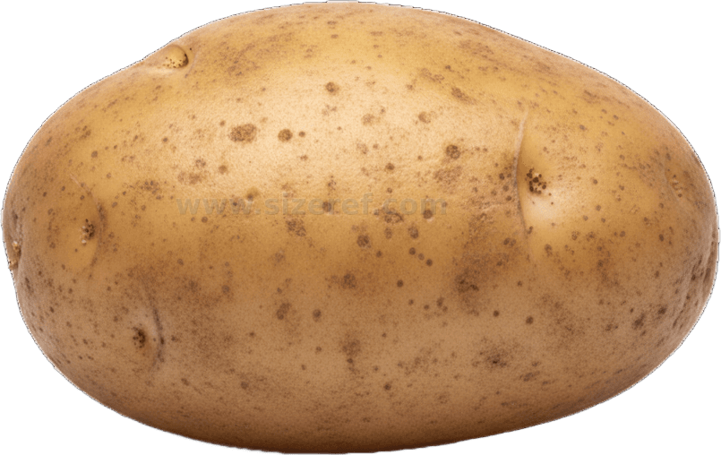 Potato actual size