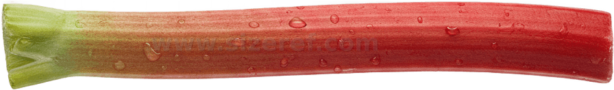 Rhubarb actual size