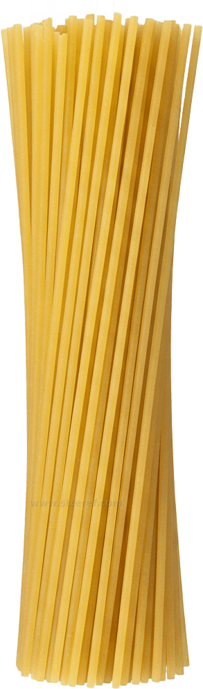 Spaghetti actual size