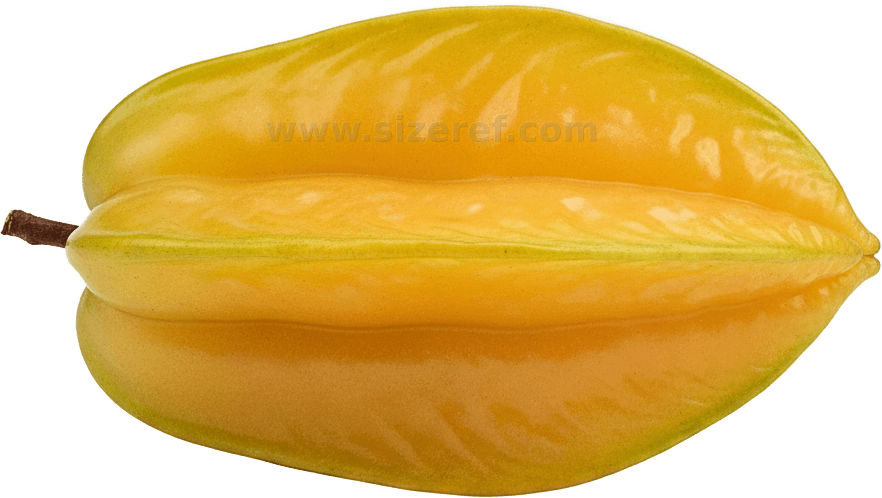 Star Fruit actual size