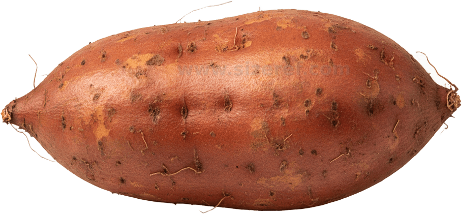 Sweet Potato actual size