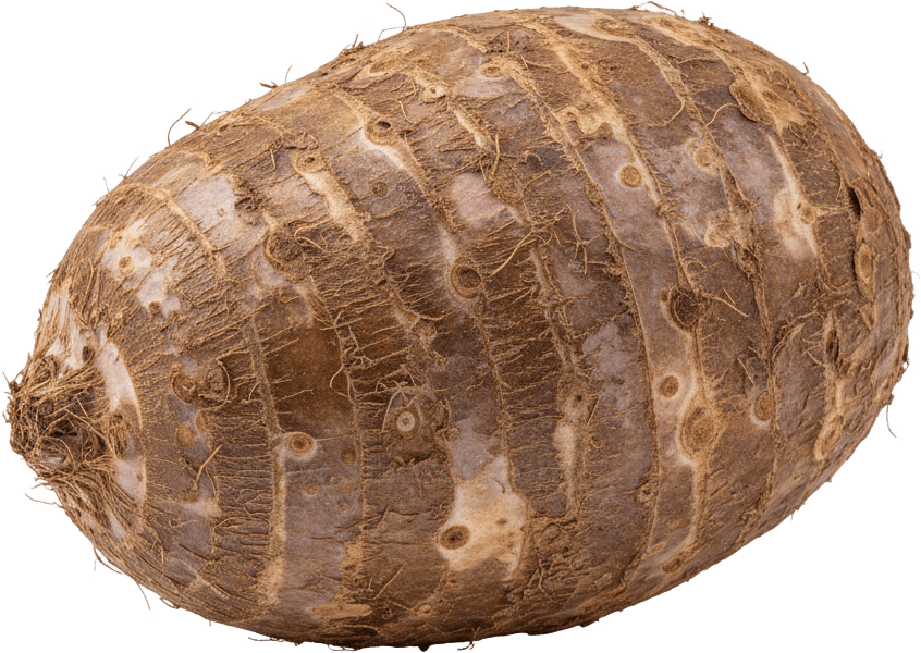 Taro actual size